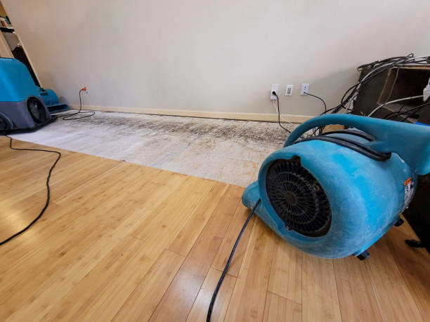 Professional Water Damage Repair technician working in Ridgewood, NY
